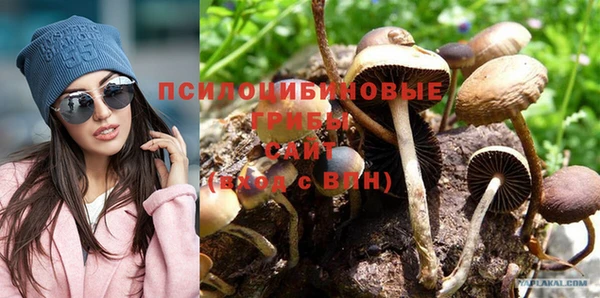 МДПВ Богданович