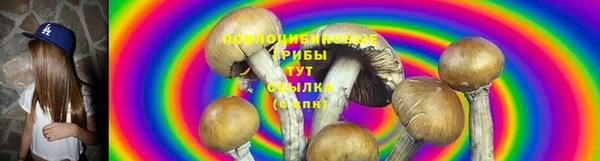 мдма Богородицк