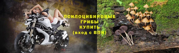 МДПВ Богданович