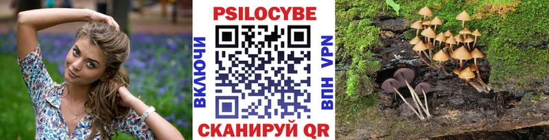 Псилоцибиновые грибы прущие грибы  как найти закладки  Братск 